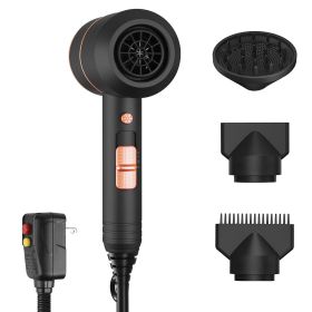 1800W Hair Dryer Portable Compact Hair Blow Dryer with Cool/Warm/Hot Wind with Diffuser Concentrator/Comb Nozzle ALCI Plug Overheat Protection for Wom (Option: Professional Skin care: Black)