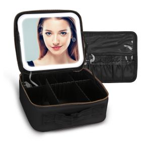 Travel Makeup Bag with LED Mirror Makeup Case Organizer with 3 Light Colors Adjustable Dividers Brush Holder Magnifying Mirror Dimmable USB Rechargeab (Option: Professional Skin care: S_Black)