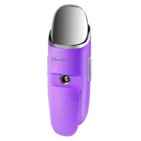 Nano Facial Mister Nano Cool Mist Facial Sprayer Portable Handy Face Steamer Moisturizing Massager USB Charge (Option: Professional Skin care: Violet)